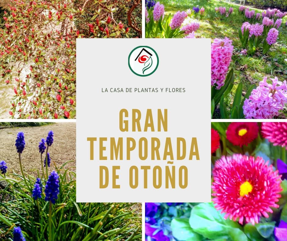 Diseño de fotografias 3